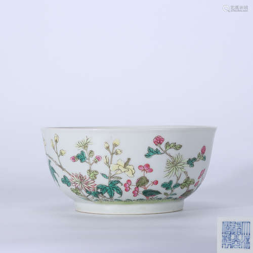 Qing Daoguang Pastel Bowl with Flower Pattern