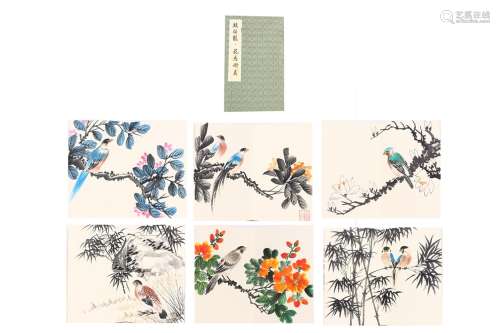 Album of Paintings:Flowers and Birds  by YanboLong