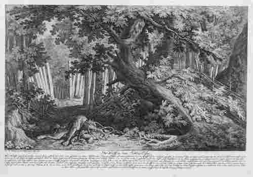 Johann Elias Ridinger (1698 - 1767), Der Wolf in dem Schlag-Eisen, Kupferstich aus: Nach der Natur