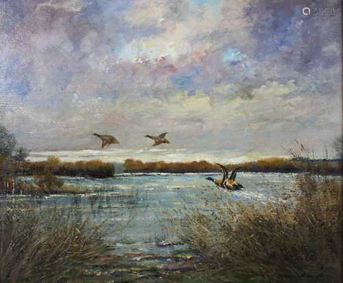 Heinrich Weckauf (deutsch, 1885 - 1963), Enten am See, Öl a. Karton, un. rechts sign., Maße: 30 x