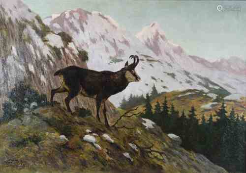 Carl Deiker (deutsch, 1879-1958), Gamsbock im Gebirge, Düsseldorf, 1923, Öl a. Lwd., unt. rechts