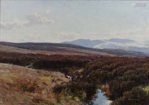 John Howard Lyon (1870-1921) 'Moorland Burn' oil on canvas, signed lower right, 34cm x 49cm