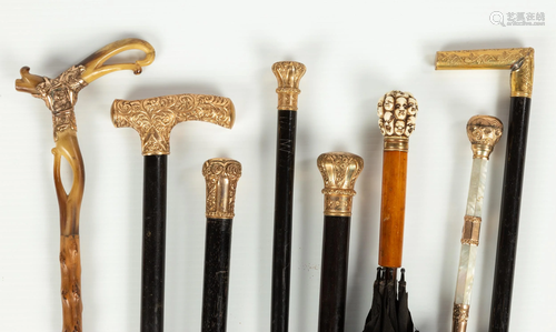 Antique Canes & Umbrellas