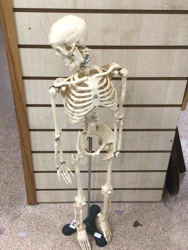 A VINTAGE ARTICULATED SKELETON ON WEIGHTED STAND 86CM