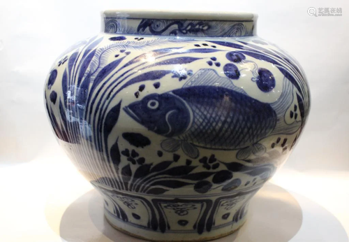 Chinese Blue and White Porcelain Jar