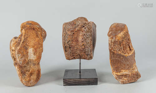 Set Fossil Mammoth sculpture