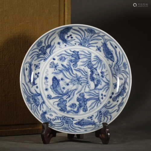 Old Collection,Blue and White fish Plate
