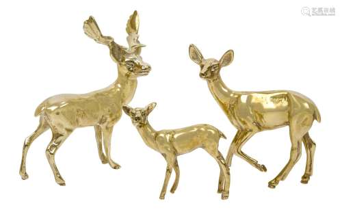 A group of three brass deer, British, circa. 1960, each of plain polished form, tallest 18cm high (