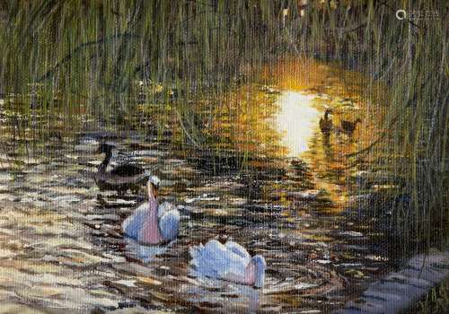 Veronica Johnstone, British, late 20th century- Evening glow; oil on canvas board, signed with