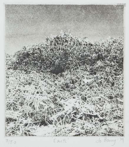 Jo Barry, British b.1944- Earth, 1979; etching on wove, signed, dated, titled and numbered 3/50 in