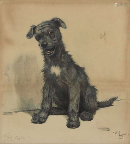 Cecil Charles Windsor Aldin RBA, British 1870-1935- A Thoroughbred Mongrel; lithograph, signed in