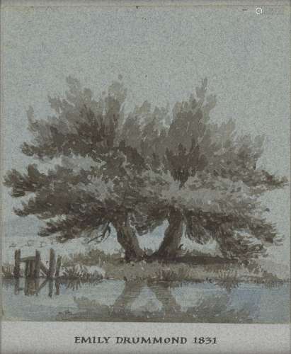 Lady Emily Drummond, British, early 19th century- Two trees, 1831; watercolour on blue paper,