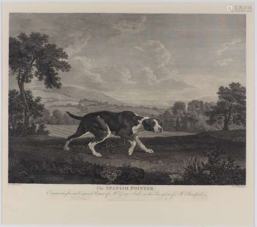 After William Woollett, British 1735-1785- The Spanish Pointer, after George Stubbs ARA; restrike
