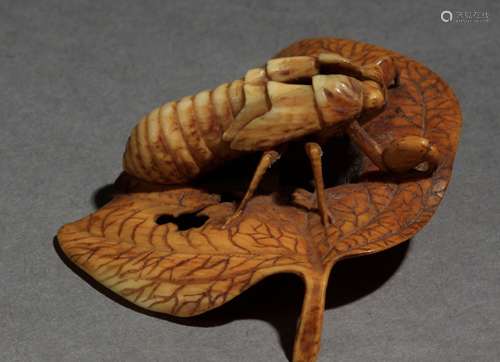 Netsuke japonés siglo XIX.明治时期。Sin firmar.En hombril tallado representando cascarón de crisálida o ninfa de una libélula, posada sobre una hoja, 17,6x55,8x44,1 mm.5,10 gr. A 19th century Japanese netsuke from Meiji period.没有签名。象牙雕刻的蜻蜓的蛹放在叶子上，17,6x55,8x44,1毫米。5,10克。