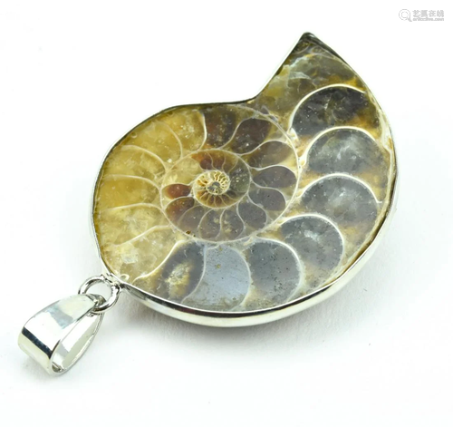 Ammonite Fossil Mounted As Necklace Pendant