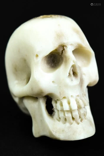 Hand Carved Antler Memento Mori Miniature Skull