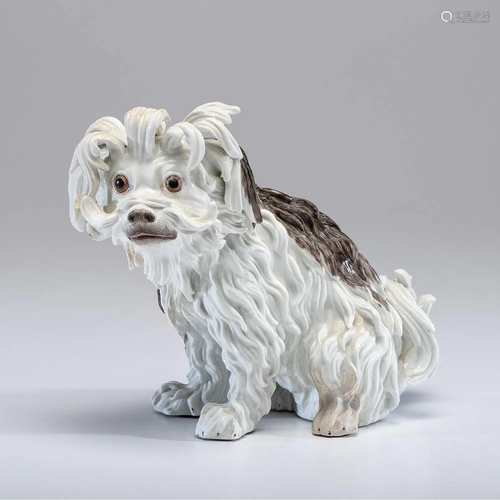 A Meissen Porcelain Bolognese Spaniel