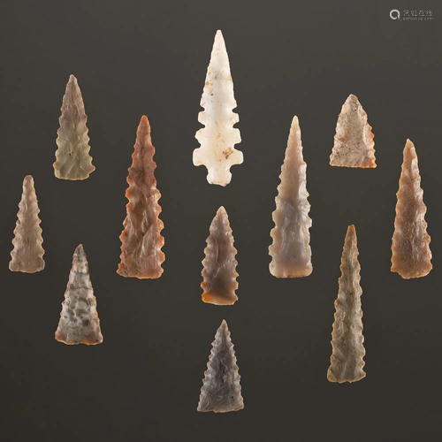 A Group of Serrated Fox Field Points, Largest 2-1/4 in.