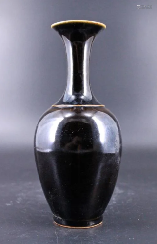 Qing Porcelain Black Glaze Vase