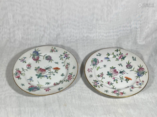 Pair Chinese Porcelain Dishes with Insect