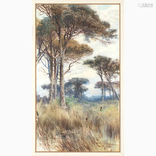 ONORATO CARLANDI Rome, 1848 - 1939 - Pine forest