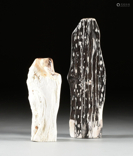 A GROUP OF TWO PREHISTORIC PETRIFIED WOOD FOSSIL