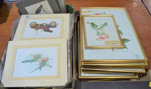 A large quantity of framed and unframed prints of flowers, birds etc