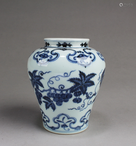 Chinese Blue & White Porcelain Vase