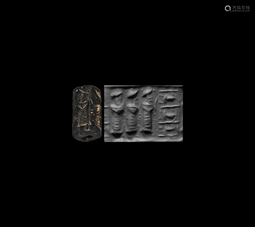 Cylinder Seal with Worshippers
