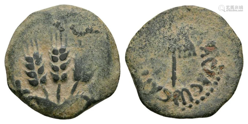 Agrippa I - Judea - Prutah