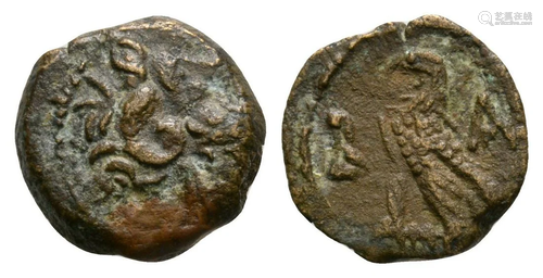 Ptolemy X (XI) - Rare Cyprus Bronze