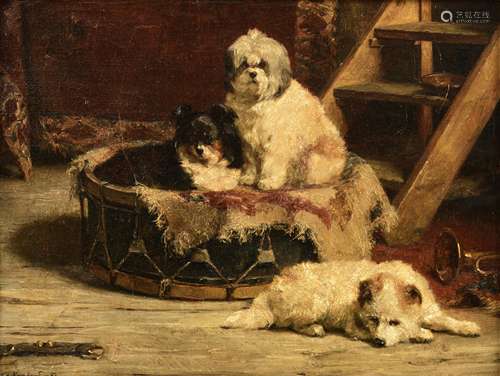 Vanden Eycken Ch., three dogs sitting on a drum, dated 1906, oil on canvas, 34,5 x 45,5 cm