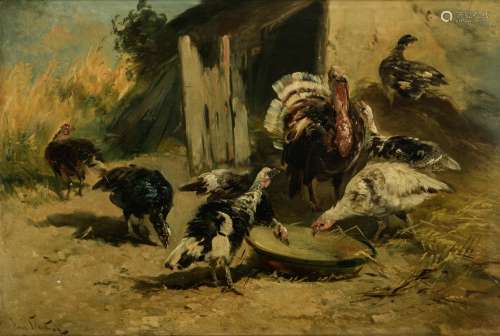 Schouten, turkeys in a barn, oil on canvas, 58 x 83 cm