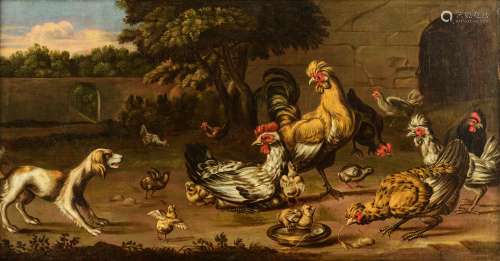 Attributed to Melchior d'Hondecoeter (hardly visible signed in the lower-left corner), a dog barking at chickens, 17thC, oil on canvas, 44 x 82 cm
