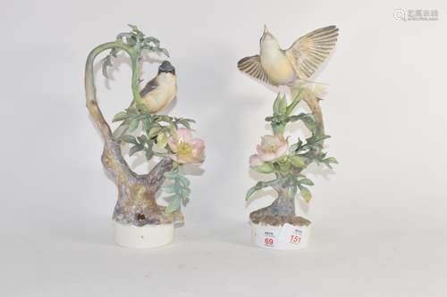 Pair of Royal Worcester bird groups modelled by Dorothy Doughty, one with the Lesser Whitethroat and