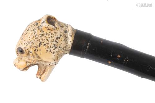 Spazierstock mit Elfenbein Leopardenkopf um 1900, walking cane ivory around 1900,Spazi