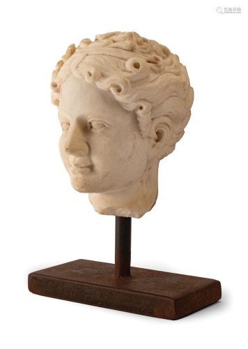 Italian Marble Head After the Antique