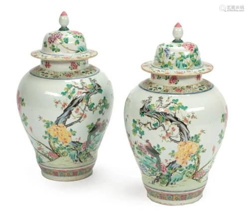 Chinese Export Famille Rose Porcelain Jars