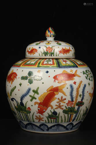 QING DYNASTY JIAJING PERIOD--BLUE WHITE AND DOUCAI FISHES ALGAE JAR WITH LID