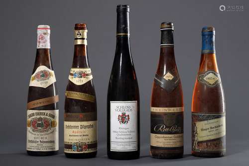 5 Diverse Flaschen deutscher Weißweine: Rheinhessen 