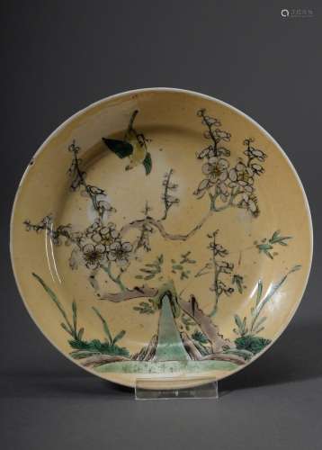 Kleiner Porzellan Teller mit Famille Verte Malerei „Vogel und Prunuszweig“ auf