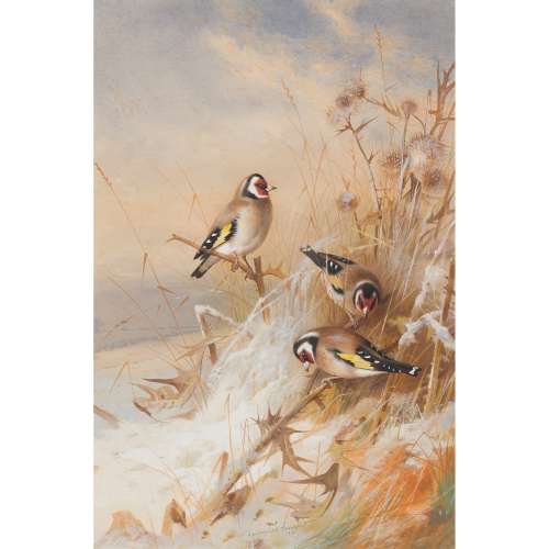 ARCHIBALD THORBURN (SCOTTISH 1860-1935) GOLDFINCHES IN THE SNOW