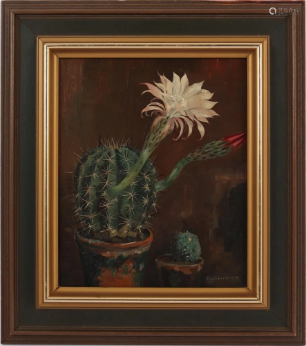 Unclearly signed, Flowering cactus