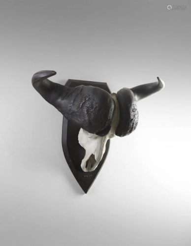 Naturalia Hunting trophy with black buffalo