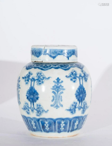 Arte Cinese A blue and white porcelain vase painted