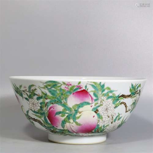 A Chinese Famille-Rose Porcelain Bowl