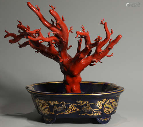 Porcelain Coral Bonsai Qianlong Style