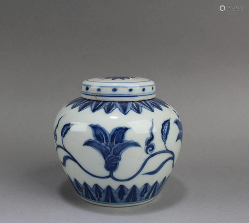 Chinese Blue & White Porcelain Jar