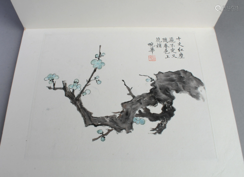Chinese Painting Album