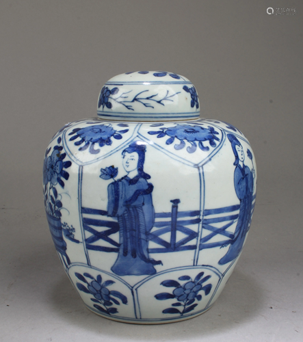 Chinese Blue & White Porcelain Jar